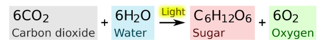 GED science practice test equation